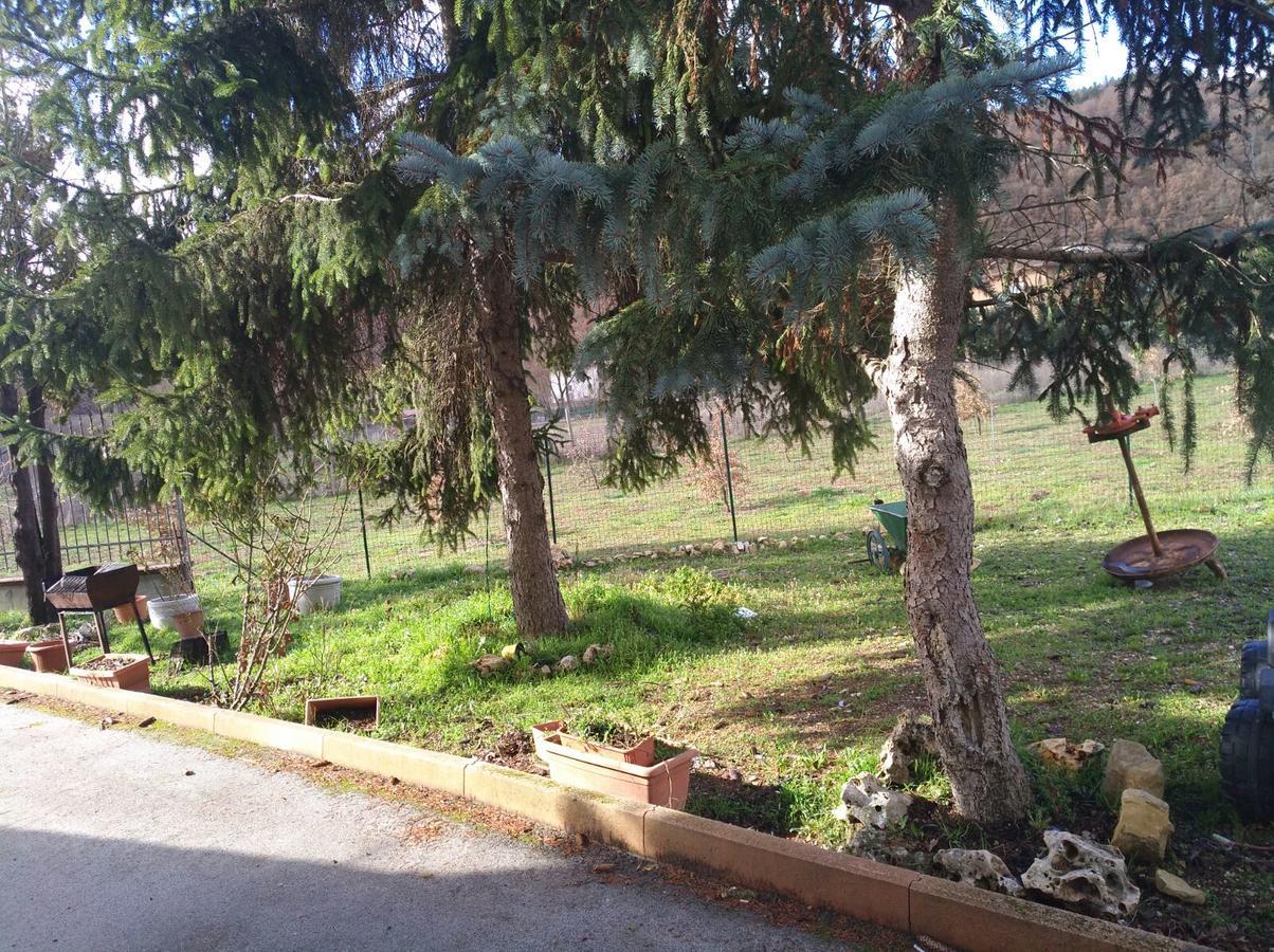 Le Stanze Di Bacco Villa Cagnano Amiterno Exterior foto