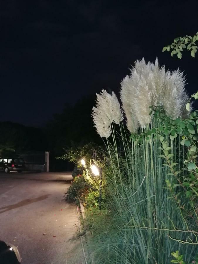 Le Stanze Di Bacco Villa Cagnano Amiterno Exterior foto